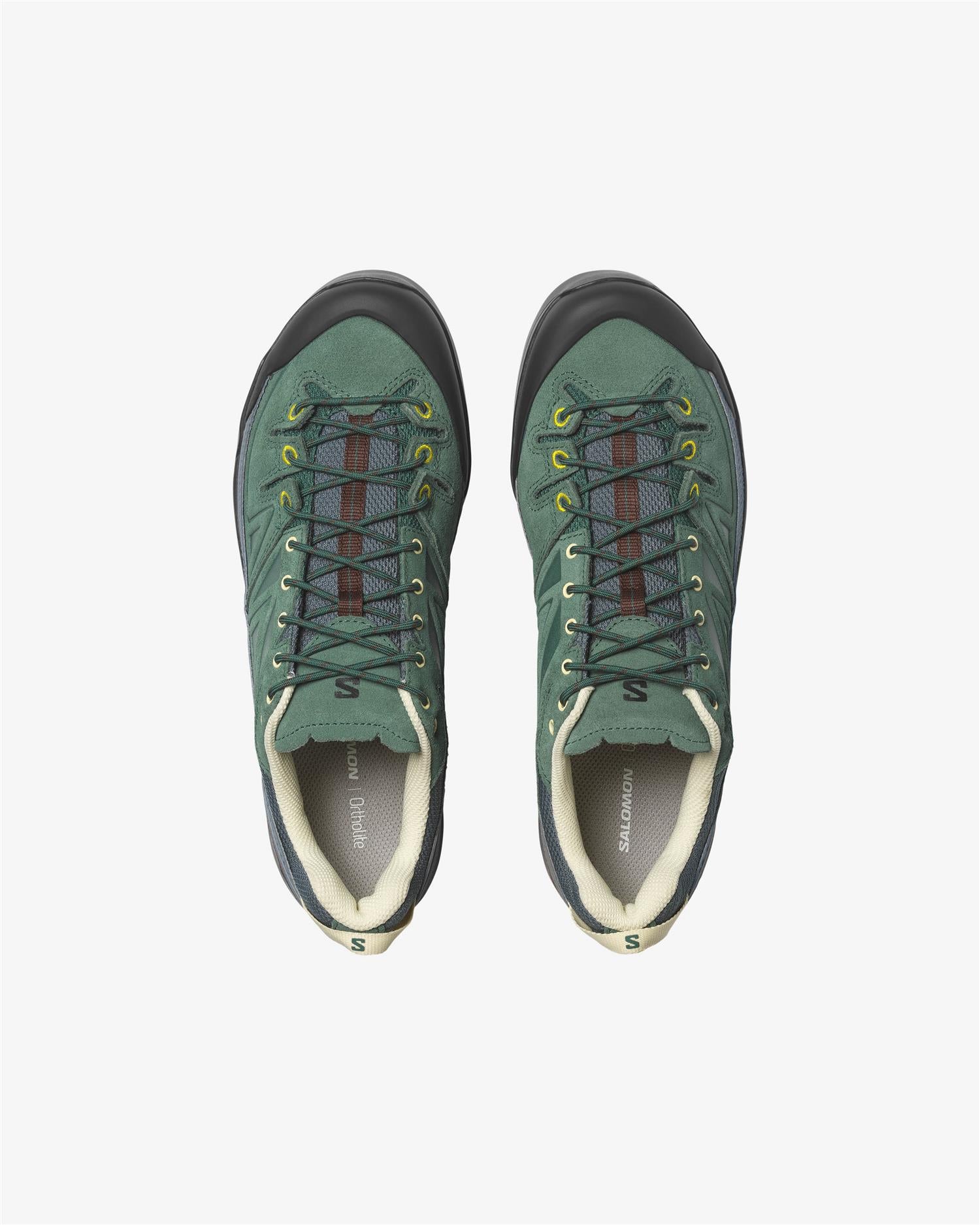 X-ALP LTR - BISTRO GREEN/BLACK