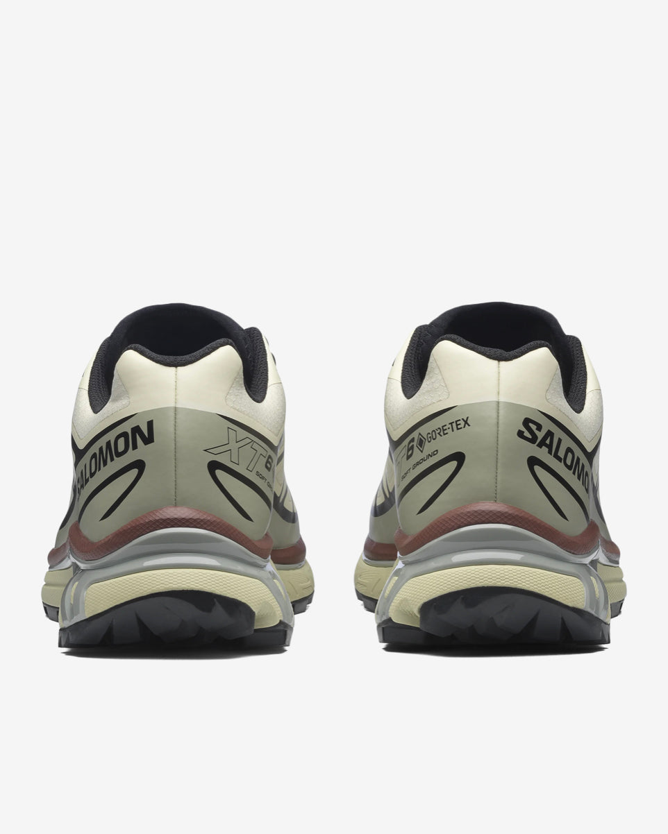 XT-6 GTX - ASPARGUS/TEA