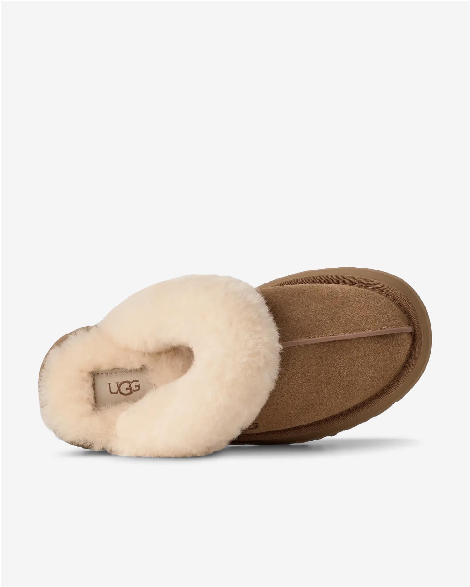 W DISQUETTE - CHESTNUT