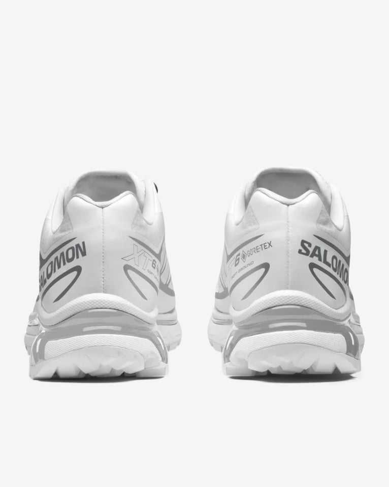 XT-6 GTX - WHITE/SILVER