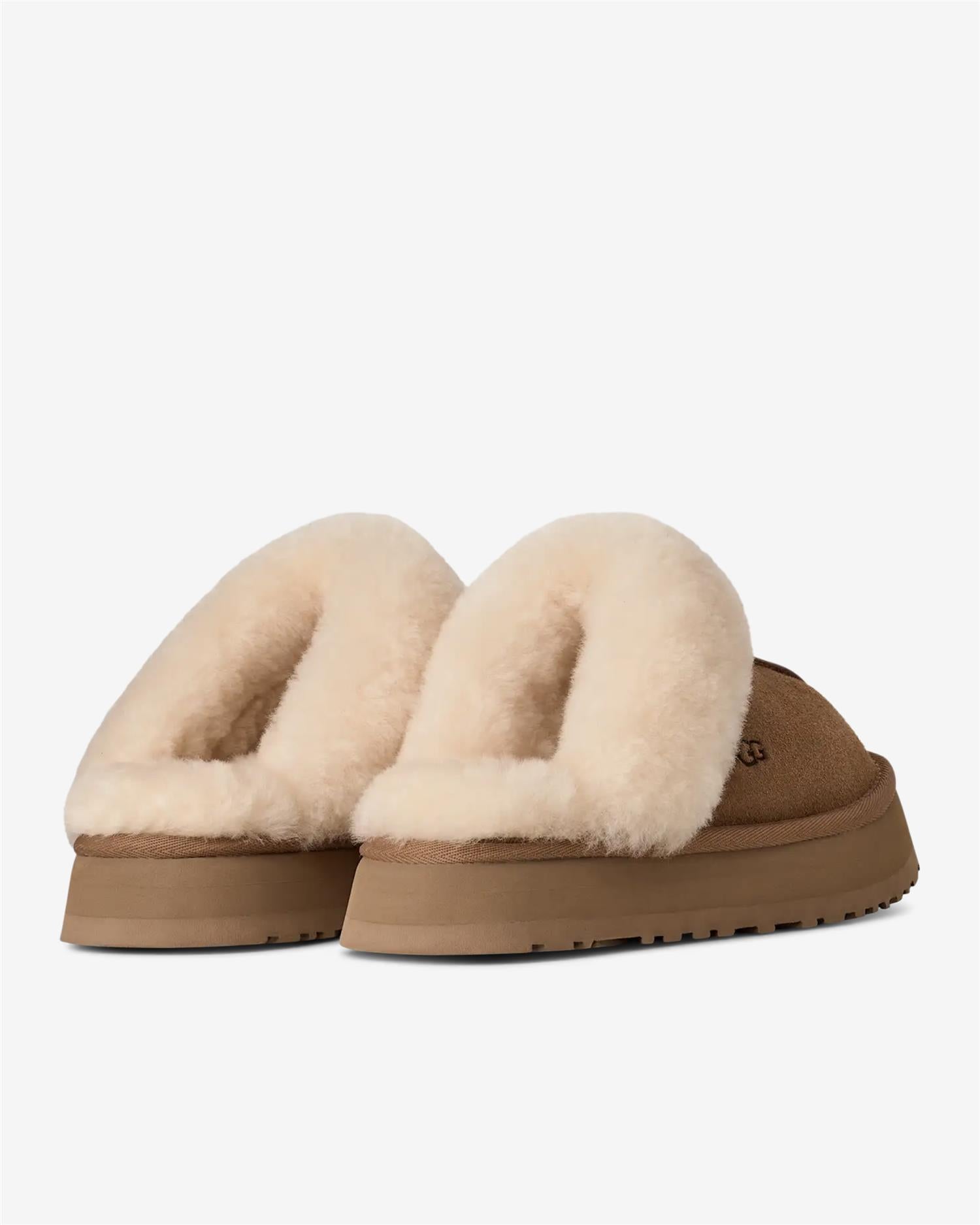 W DISQUETTE - CHESTNUT